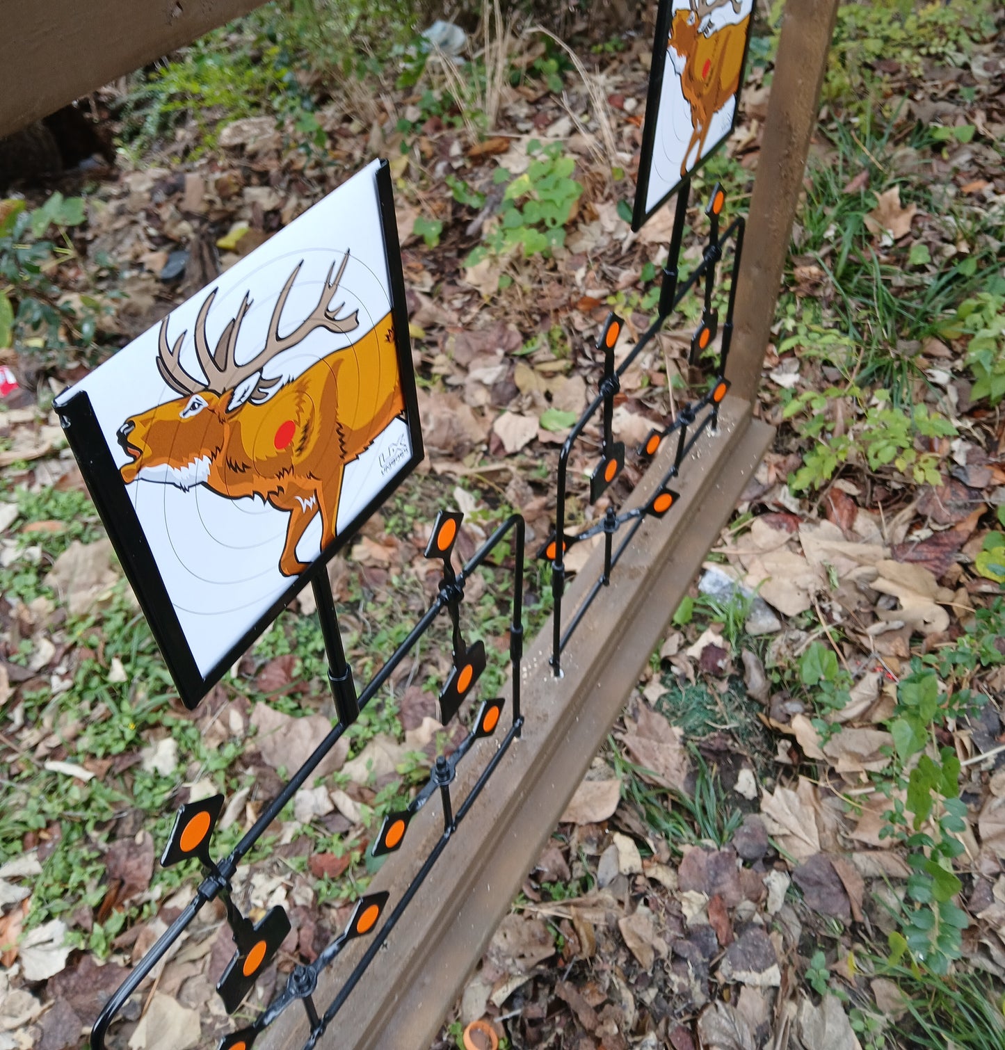 BB gun shooting gallery