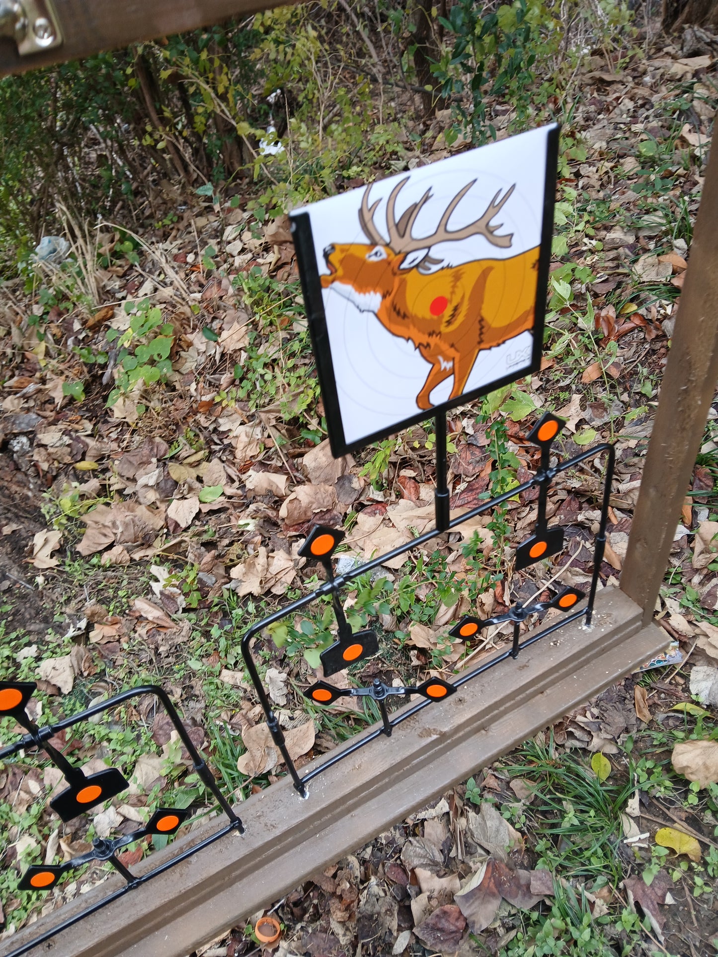 BB gun shooting gallery