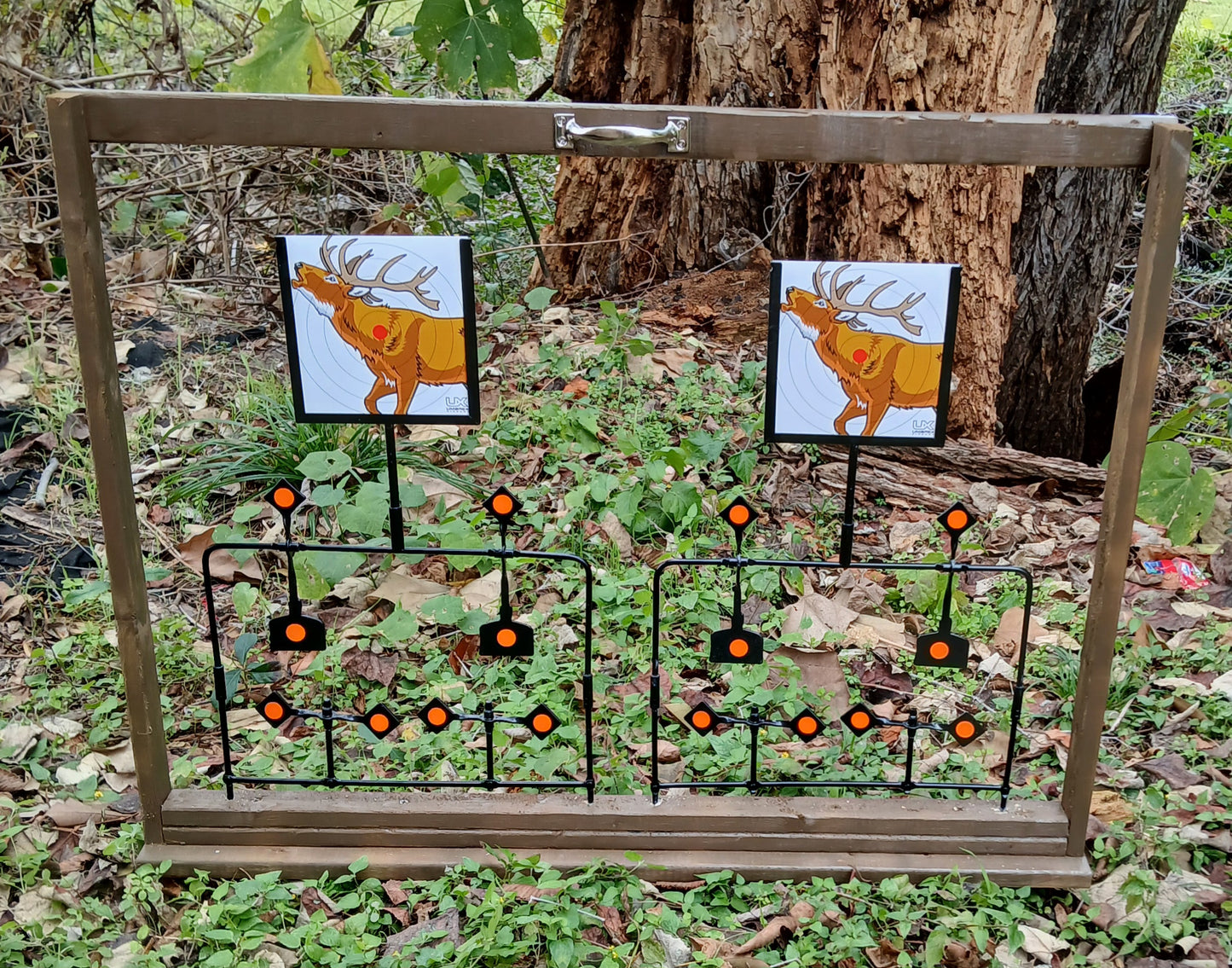 BB gun shooting gallery