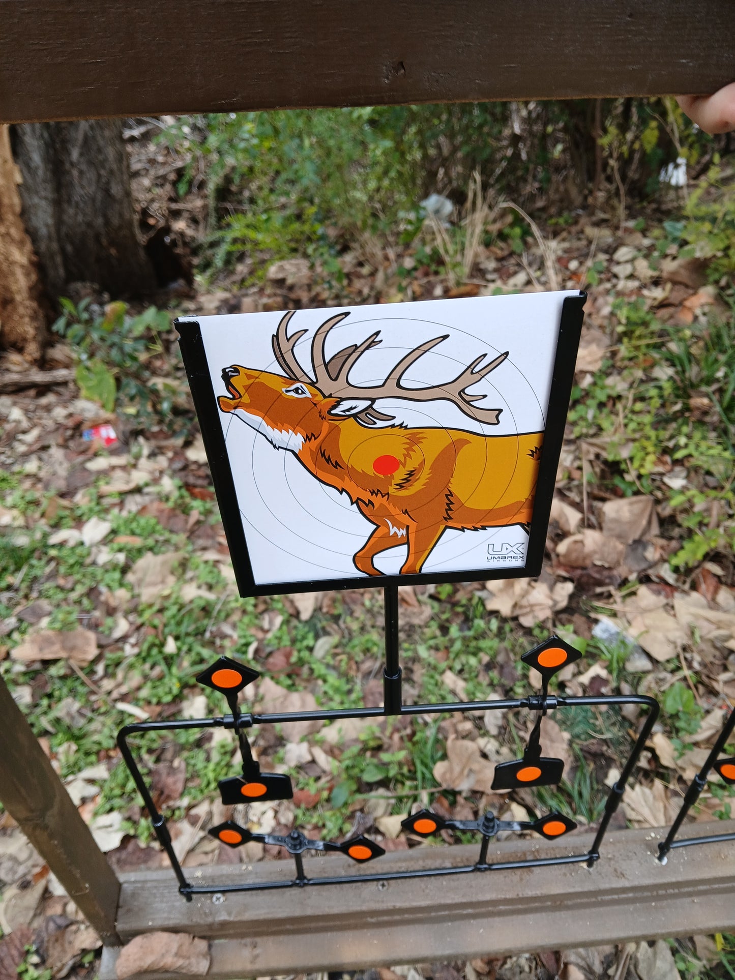 BB gun shooting gallery