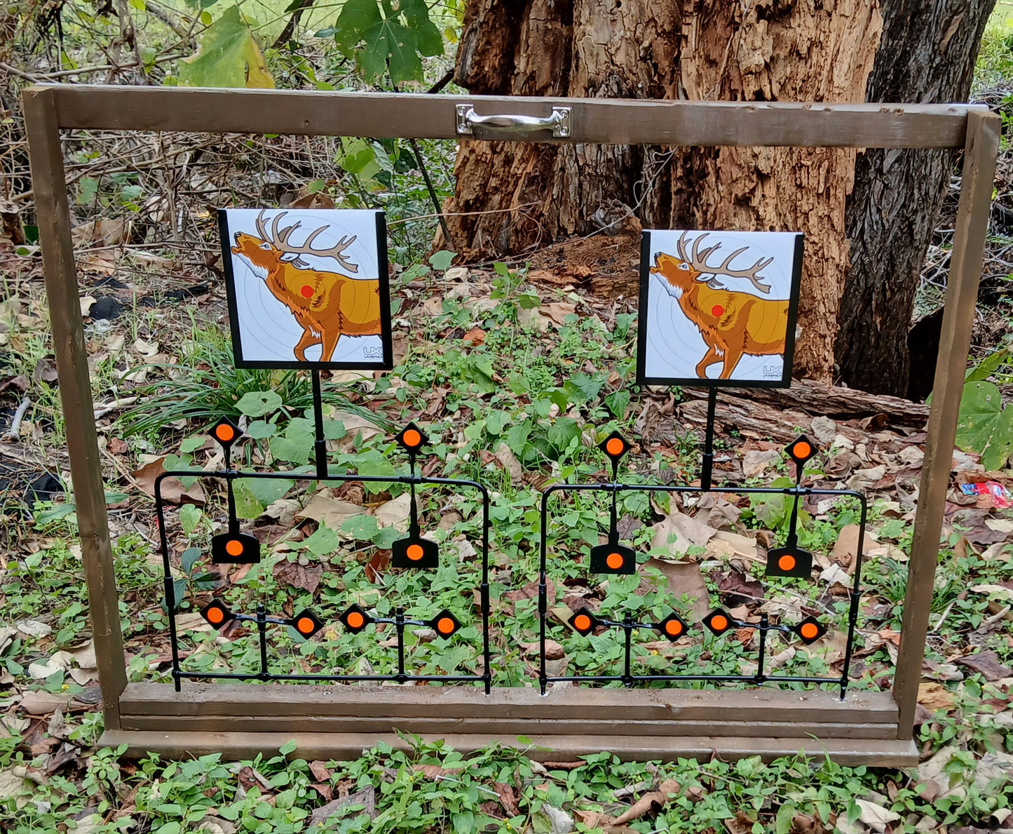 BB gun shooting gallery